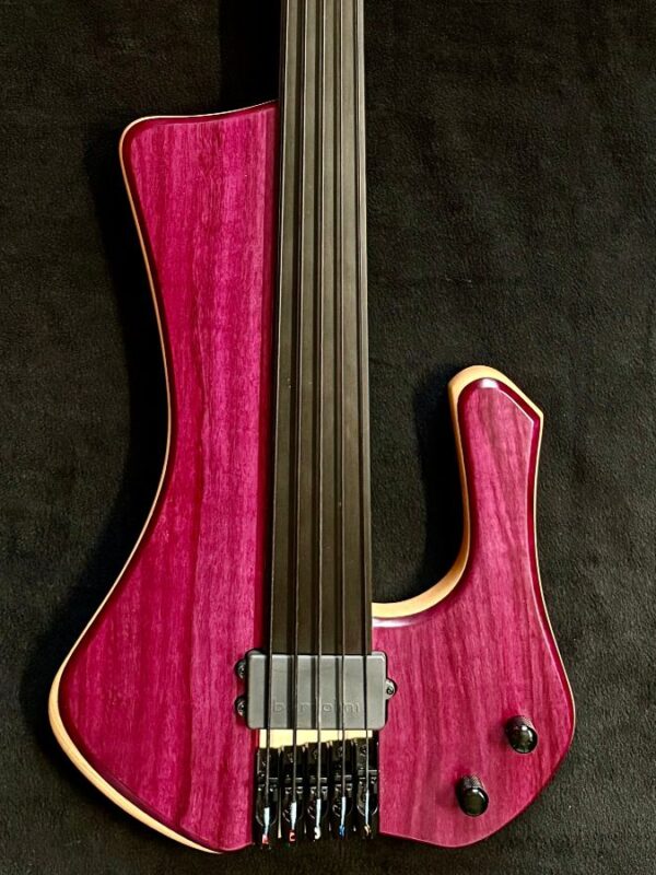 New Extreman Fretless 5